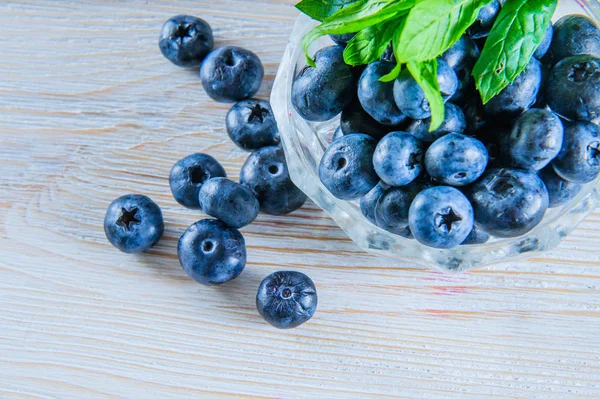 Beyaz ahşap arka planda yaban mersini demet.