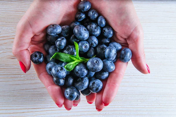 Fresh healthy organic blueberry in white wooden background — Stock Photo, Image