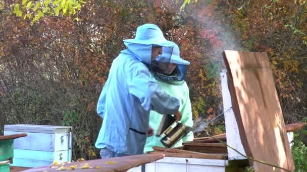 养蜂人手持蜂巢的蜜蜂 养蜂人在保护工作服检查蜂窝框架在养蜂 养蜂概念 养蜂蜜蜂收获蜂蜜 — 图库视频影像