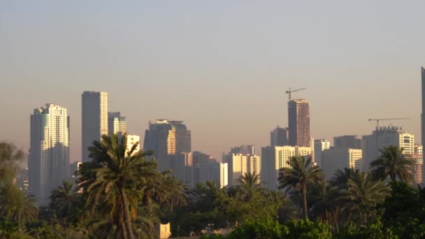 Zonsondergang Panorama Van Sharjah Verenigde Arabische Emiraten — Stockvideo