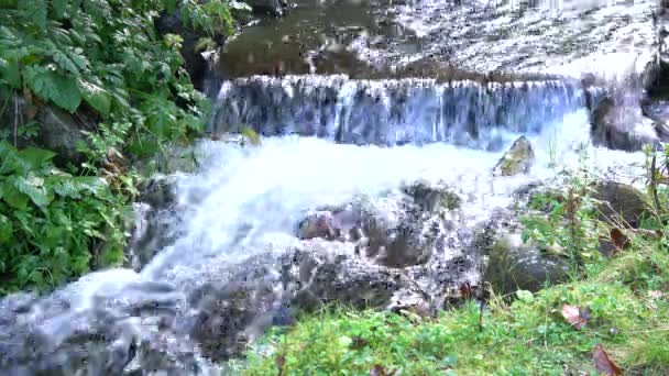 Ruisseau Forestier Qui Coule Sur Des Rochers Moussus — Video