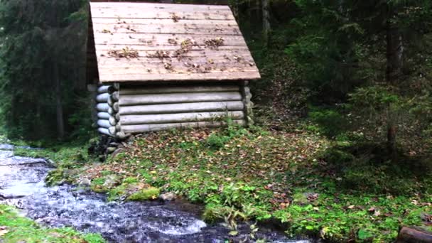 Ruisseau Forestier Qui Coule Sur Des Rochers Moussus — Video