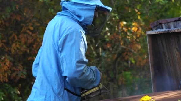 Beekeeper Inspects Hive Bees Pumping Honey Honeycomb — Stock Video