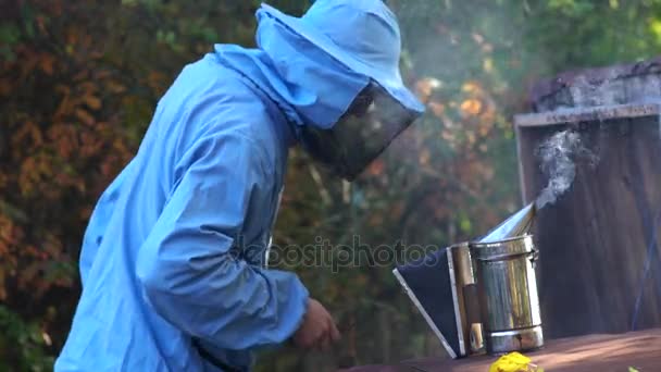 Pszczelarz Sprawdza Ulu Pszczół Przed Pompowania Miód Plastra Miodu — Wideo stockowe