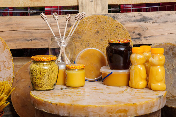 Various bee products - honey, honey with wax and propolis. Products of livelihoods of bees. Wax. Cells. Honey.Beekeeping.