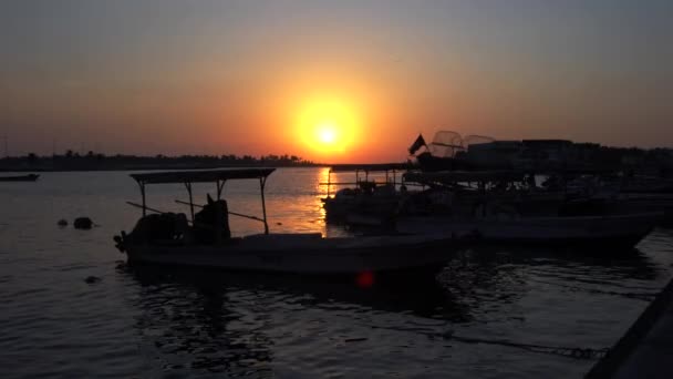 Sharjah Emiratos Árabes Unidos Vista Del Atardecer Laguna Sharjah Sharjah — Vídeo de stock