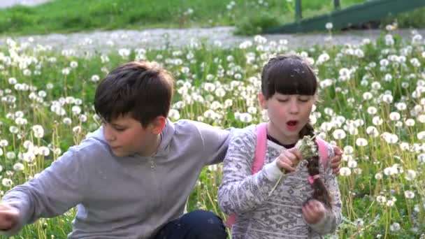Κοριτσάκι Και Αδερφός Της Στο Γκριν Φιλντ Παίζουν Πικραλίδες Παιδιά — Αρχείο Βίντεο