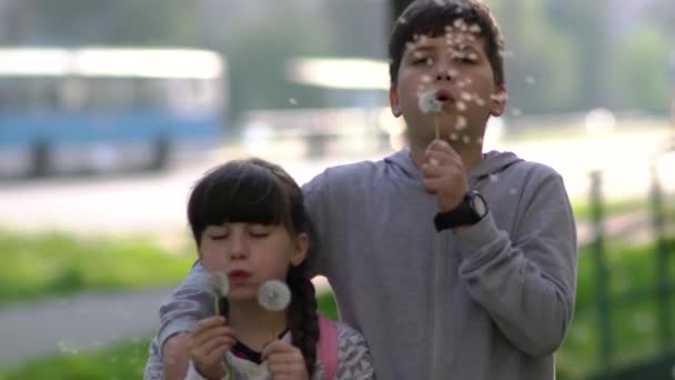 Csinos Kislány Bátyja Zöld Mezőn Pitypangokkal Játszanak Gyerekek Vidéken Gyönyörű — Stock videók