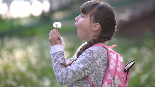 Nyári Álom Kis Iskolás Lány Játszik Pitypangok Zöld Mezőn Lassú — Stock videók