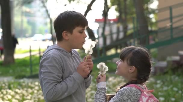 Niña Bonita Hermano Campo Verde Están Jugando Con Dientes León — Vídeo de stock