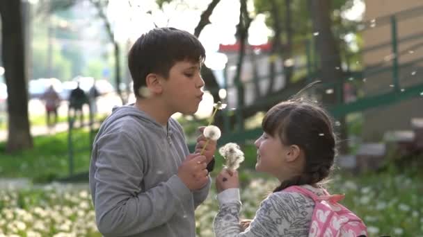 Csinos Kislány Bátyja Zöld Mezőn Pitypangokkal Játszanak Gyerekek Vidéken Gyönyörű — Stock videók