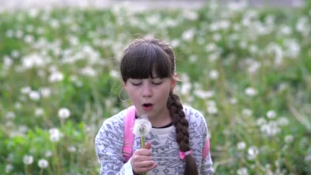 Summer Dream Little School Girl Plays Dandelions Green Field Slow — Stock Video