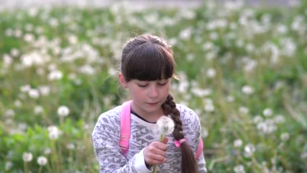 Summer Dream Little School Girl Plays Dandelions Green Field Slow — Stock Video