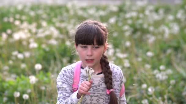 Summer Dream Little School Girl Plays Dandelions Green Field Slow — Stock Video