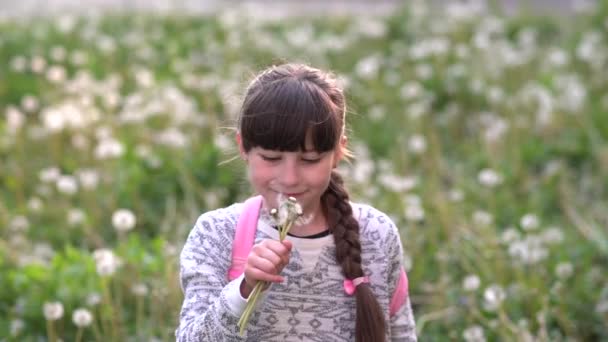 我的夏天的梦 小女孩在绿地上玩蒲公英 — 图库视频影像