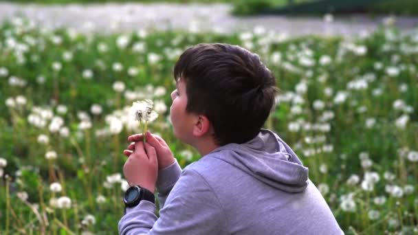 Όμορφο Σχολιαρόπαιδο Φυσάει Μακριά Σπόρια Λουλουδιών Πικραλίδα Αργή Κίνηση — Αρχείο Βίντεο