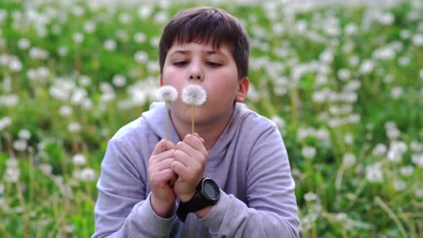 Menino Escola Bonita Soprando Flores Dente Leão Seeds Slow Motion — Vídeo de Stock