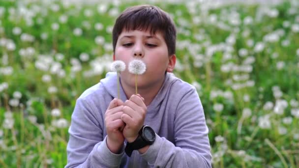 Beautiful School Boy Blowing Away Dandelion Flower Seeds Slow Motion — Stock Video