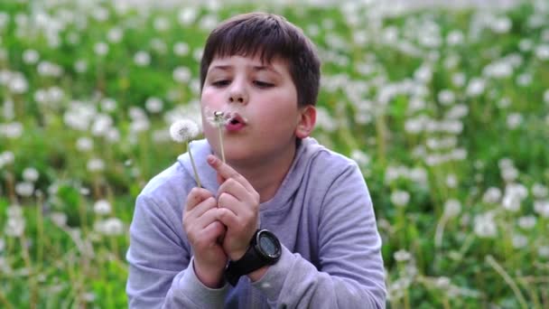 Krásný Školní Chlapec Odfouknutí Pampeliška Květ Semínka Zpomalený Pohyb — Stock video