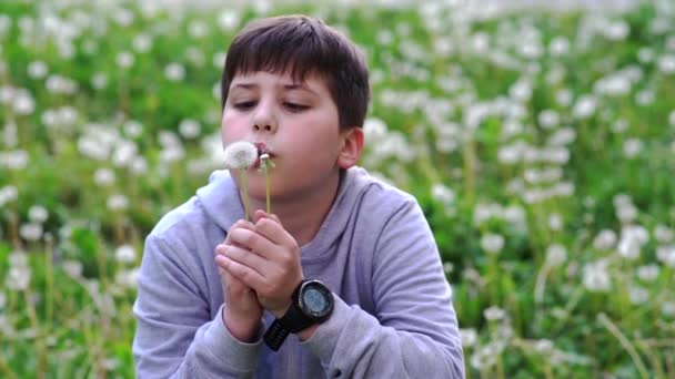 Menino Escola Bonita Soprando Flores Dente Leão Seeds Slow Motion — Vídeo de Stock