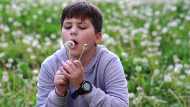 美しい小学生の男の子がタンポポの花の種を吹いています スローモーション — ストック動画