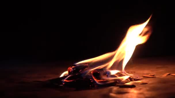 Ardiendo leña en la oscuridad. Pequeño fuego sobre fondo negro. 4K primer plano de vídeo — Vídeo de stock