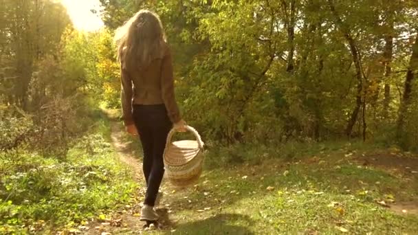 Una joven morena caminando por los bosques de otoño, sosteniendo una cesta de picnic. Día soleado. Cámara lenta steadicam video — Vídeos de Stock