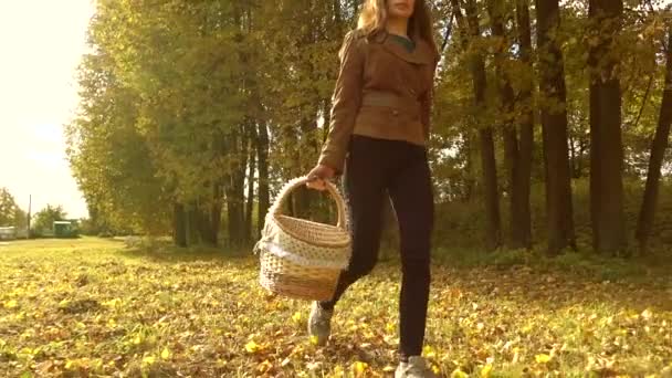 Mulher morena bonita andando por florestas de outono, segurando uma cesta de piquenique. Dia ensolarado. câmera lenta steadicam vídeo — Vídeo de Stock