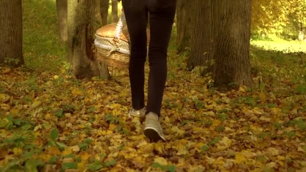 Menina esbelta andando sobre folhas caídas através da floresta de outono segurando uma cesta de piquenique. Movimento lento steadicam tiro — Vídeo de Stock