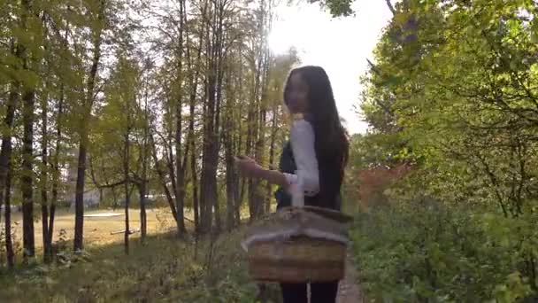 Bella ragazza bruna che cammina attraverso i boschi autunnali con un cestino da picnic. Giornata di sole. 4K video steadicam — Video Stock