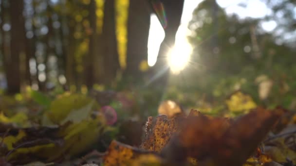 Menina borrada correndo em folhas caídas na floresta de outono ensolarada. Sol a arder. Super câmera lenta fundo bokeh tiro — Vídeo de Stock