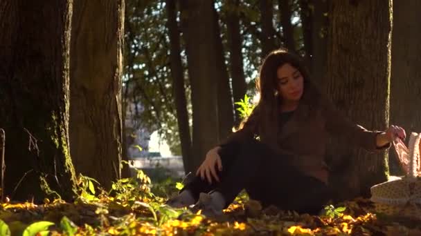 Девушка-брюнетка с корзиной для пикника, сидящая под деревом в осеннем лесу. Теплый солнечный день. 4K steady icam video — стоковое видео