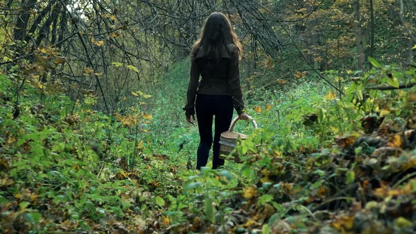 Jovem esbelta em uma jaqueta marrom andando pela floresta segurando cesta — Fotografia de Stock