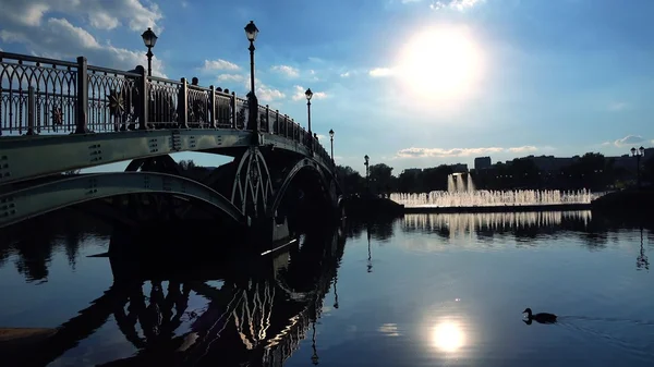 Silhouetten von gewölbten Parkbrücken, wandelnden Menschen und schwimmenden Enten — Stockfoto