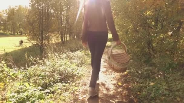 Cámara lenta steadicam video de una joven morena caminando por los bosques de otoño sosteniendo una cesta — Vídeo de stock