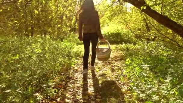 Slow motion steadicam vidéo d'une fille dans une veste brune marchant à travers la forêt d'automne portant un panier — Video