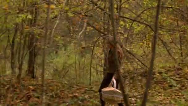Linda menina esbelta andando na floresta de outono segurando uma cesta de piquenique. Perfil vista 4K steadicam vídeo — Vídeo de Stock