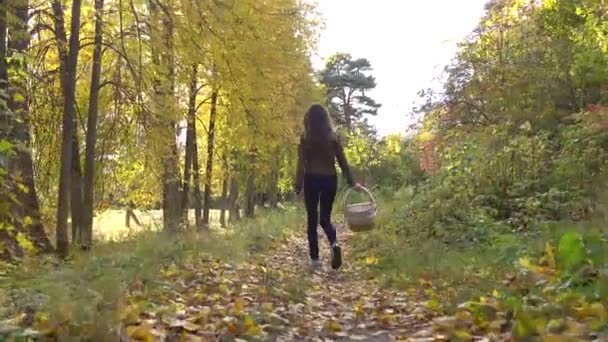 Hermosa chica morena caminando en el bosque de otoño sosteniendo una cesta de picnic. 4K steadicam video — Vídeos de Stock