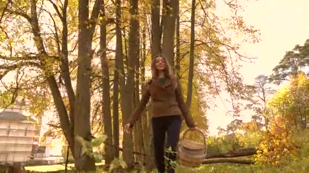 Chica morena caminando en el bosque de otoño sosteniendo una canasta. Clip steadicam 4K — Vídeo de stock
