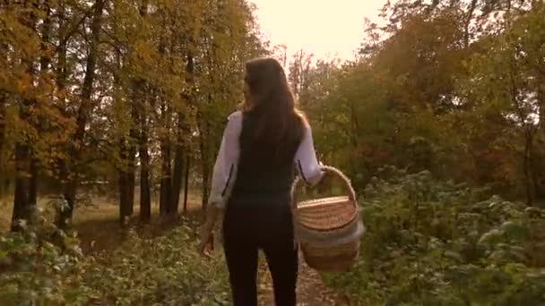 Chica morena delgada caminando en el bosque de otoño sosteniendo una cesta de picnic. 4K steadicam video — Vídeos de Stock