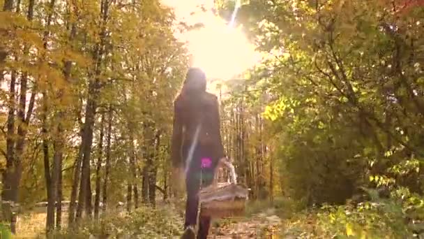 Chica morena delgada caminando en el bosque de otoño sosteniendo una cesta de picnic. 4K steadicam tiro — Vídeo de stock