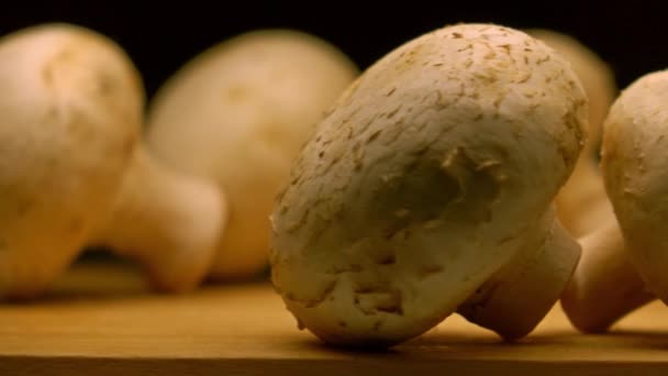 Veld paddenstoelen op de snijplank. 4k macro pan shot, warme kleuren — Stockvideo