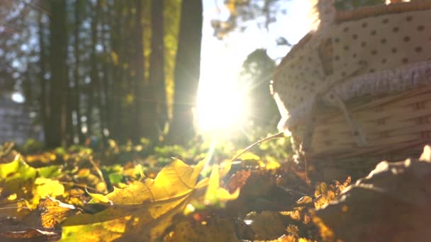 Super slow motion shot av fallande höstlöv mot skiner solen och picknick korg — Stockvideo