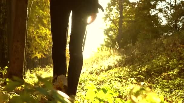 Jovem mulher em tênis de corrida caminha em folhas de outono caídas na floresta contra o sol brilhante. Movimento lento steadicam tiro — Vídeo de Stock