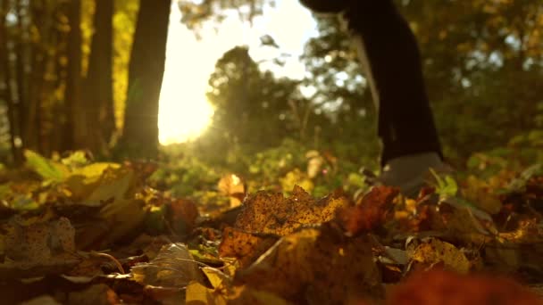 Menina desfocada correndo em folhas de outono caídas na floresta ensolarada. Sol a arder. Super câmera lenta fundo bokeh tiro — Vídeo de Stock