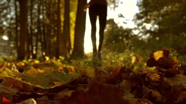 Mulher desfocada correndo em folhas de outono caídas na floresta ensolarada. Sol a arder. Super câmera lenta fundo bokeh tiro — Vídeo de Stock