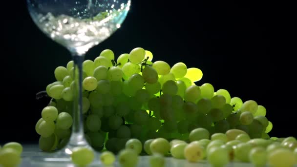 Odlewania białego wina do kieliszka przeciwko kilka zielonych winogron. Koncepcja produkcji wina. Super slow motion shot — Wideo stockowe
