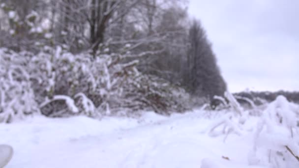 美しい雪に覆われた冬の森 4 k ショットを歩くグレーのジャケットに細身の若い女性 — ストック動画