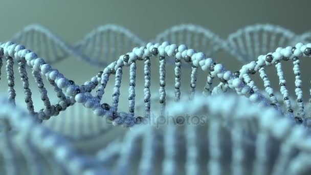 Moléculas de ADN giratorias. Conceptos genéticos, genéticos o de medicina moderna. Animación de bucle sin costura 4K — Vídeo de stock