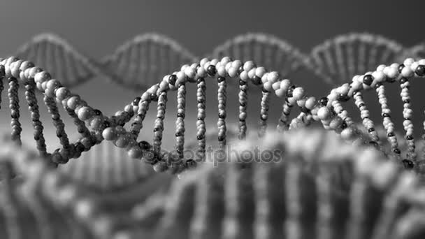 Moléculas monocromáticas de ADN. Doenças genéticas, ciência moderna ou conceitos de diagnóstico molecular. animação de loop sem costura 4K — Vídeo de Stock